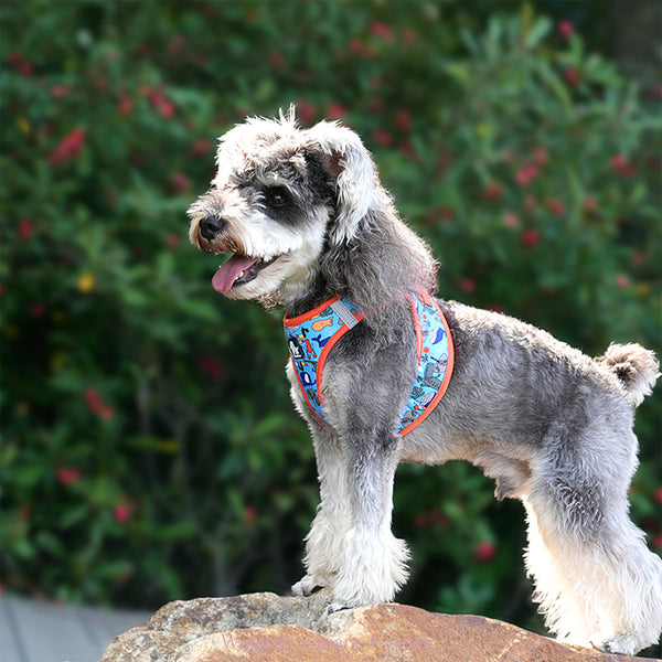 犬ハーネス小型犬中型犬犬用胴輪Trueloveブランドメッシュ軽量つけやすいワンプッシュバックル簡単着脱快適ハッピーパターンイージークイック