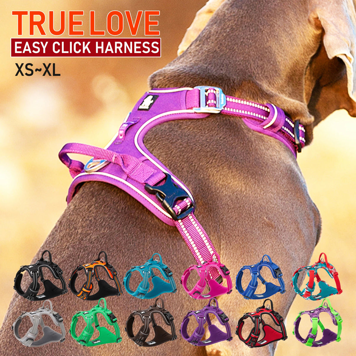 True.ove ピンク ハーネスパピー用成犬前セット 犬 ハーネス 犬