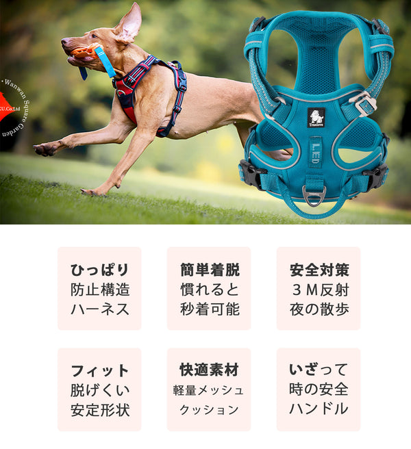 簡単装着でどんな犬にも完全フィット！