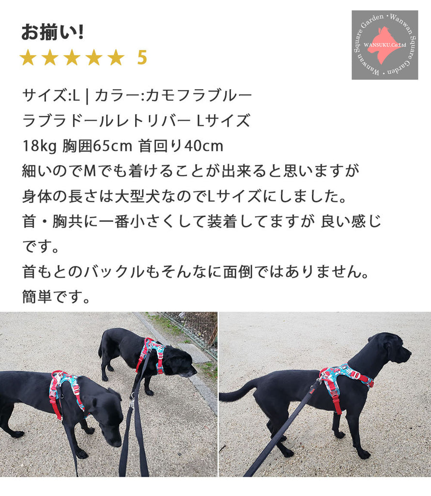 カモフラ柄もあり、全12色もあってカラー選びが楽しいですね！