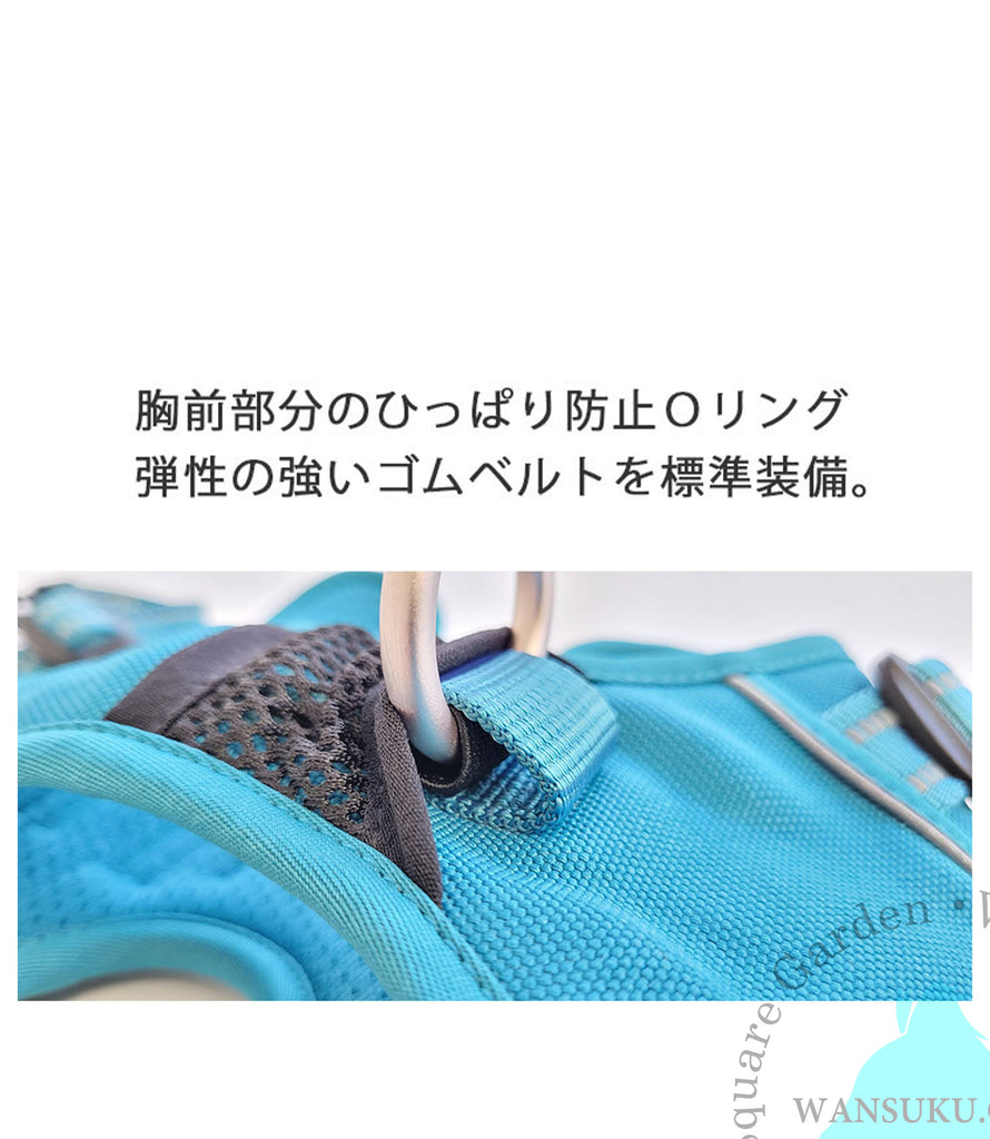 Oリングにも弾性の補強があり、よりクッション性が高くなり犬の負担を軽減します