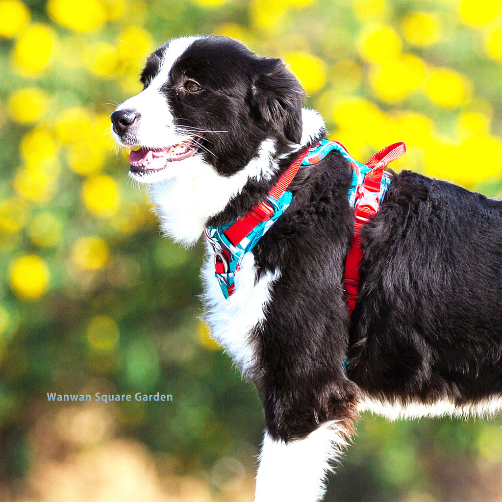 犬 ハーネス 犬用 ハーネス Truelove ブランド 胴輪 ソフトパッド 簡単装着 快適 軽量 大型犬 小型犬 送料無料 ハンドルハーネ–  wanwan square garden