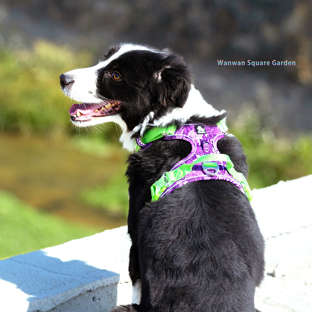 犬 ハーネス 犬用 ハーネス Truelove ブランド 胴輪 ソフトパッド 簡単装着 快適 軽量 大型犬 小型犬 送料無料 ハンドルハーネ–  wanwan square garden