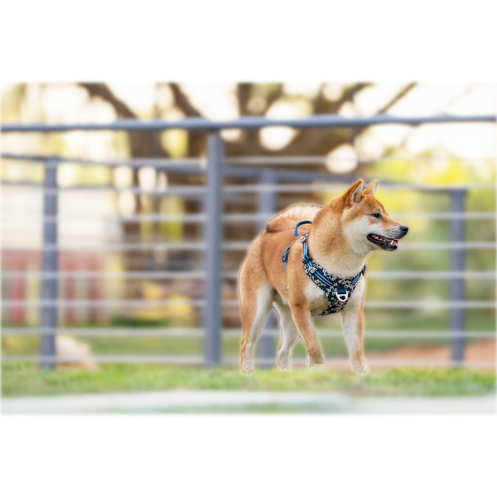 犬ハーネス和柄花柄Trueloveブランド簡単装着頭を通さず着れる付けやすい便利アウトドア負担の少ない丈夫かわいい軽量人気コーデュラフローラルハーネス