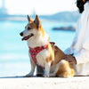 犬ハーネス和柄花柄Trueloveブランド簡単装着頭を通さず着れる付けやすい便利アウトドア負担の少ない丈夫かわいい軽量人気コーデュラフローラルハーネス