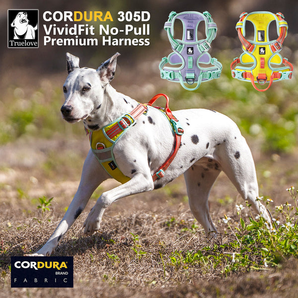 犬 ハーネス TLH5657 ブレイジングイエロー 大型犬 着用例 ラブラドール 散歩用 反射 高視認性 Truelove