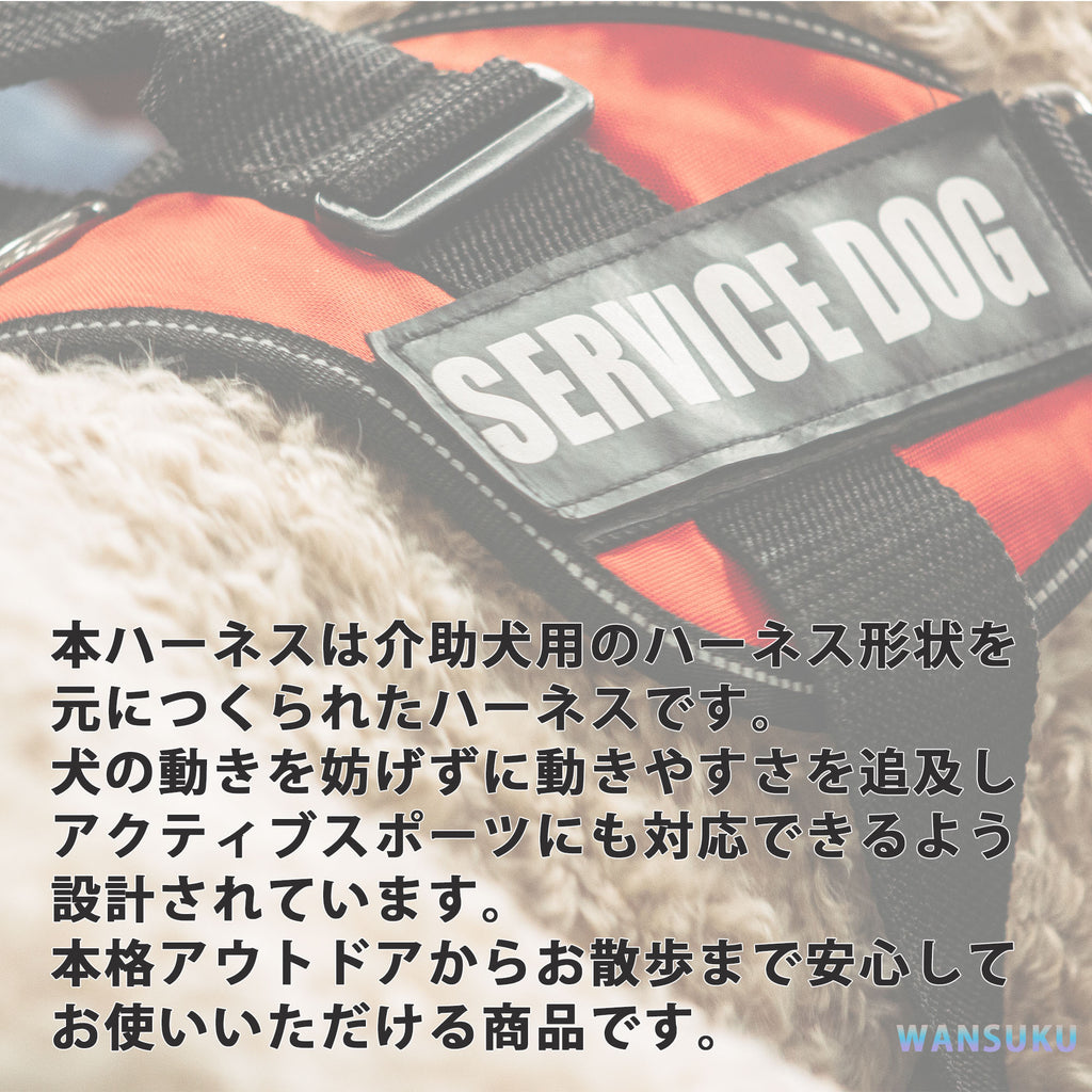 犬ハーネス中型犬大型犬用ハンドル付き胴輪Trueloveブランドアウトドアつけやすいクッションソフトパッド簡単装着快適アウトドアペットハーネス