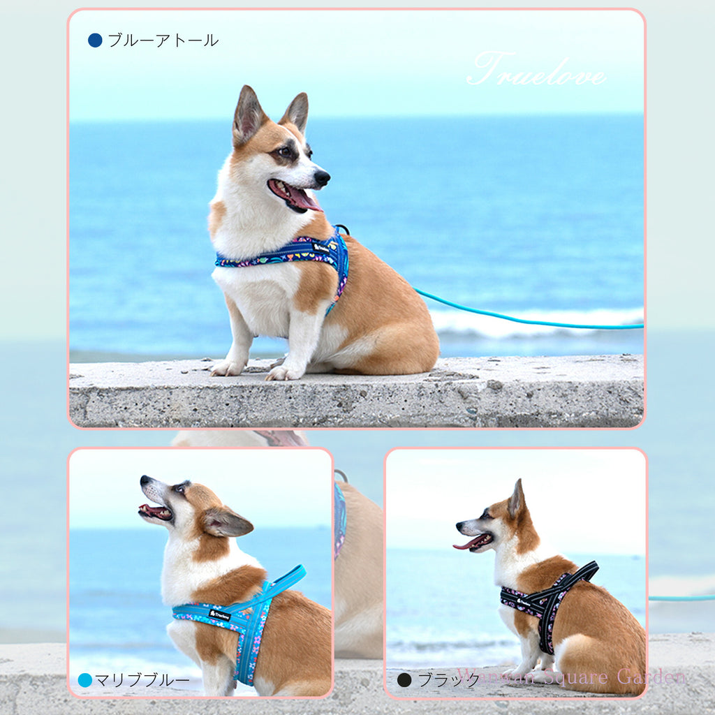 犬ハーネス小型犬大型犬犬用ハーネス胴輪Trueloveブランドつけやすいネオプレンソフトパッド簡単装着快適スポーツハーネスハッピーパターン
