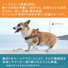 犬ハーネス小型犬大型犬犬用ハーネス胴輪Trueloveブランドつけやすいネオプレンソフトパッド簡単装着快適スポーツハーネスハッピーパターン