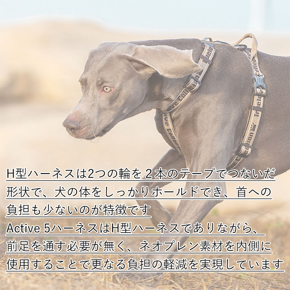 犬ハーネスH型ハーネスネオプレン簡単着脱抜けにくいホールドアクティブ5ハーネス