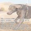 犬ハーネスH型ハーネスネオプレン簡単着脱抜けにくいホールドアクティブ5ハーネス