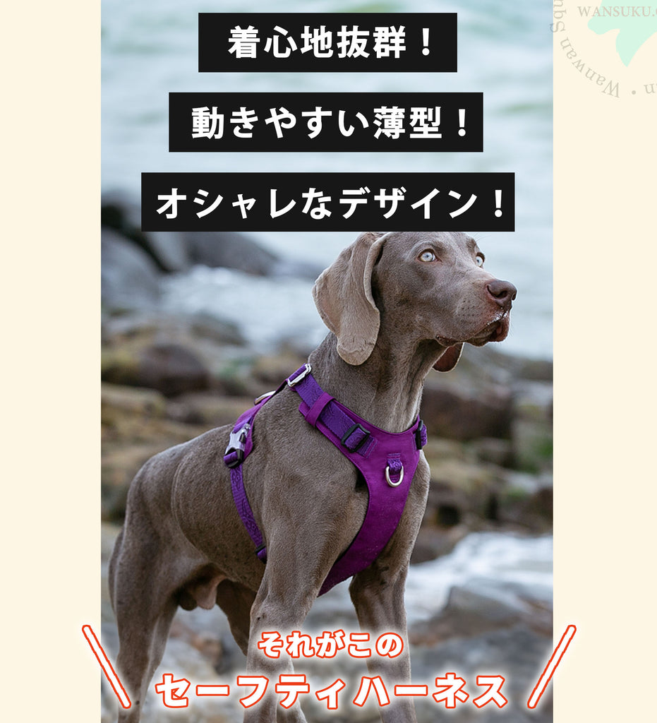 犬ハーネス簡単着脱軽量装着しやすいかっこいいワンタッチコーデュラセーフティハーネス