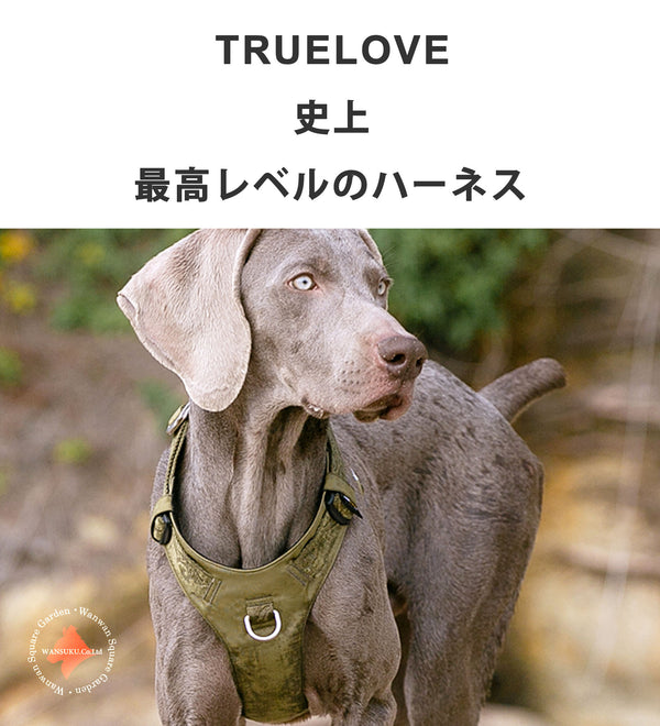 犬ハーネス簡単着脱軽量装着しやすいかっこいいワンタッチコーデュラセーフティハーネス