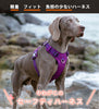 犬ハーネス簡単着脱軽量装着しやすいかっこいいワンタッチコーデュラセーフティハーネス