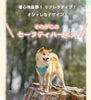 犬ハーネス簡単着脱軽量装着しやすいかっこいいワンタッチコーデュラセーフティハーネス