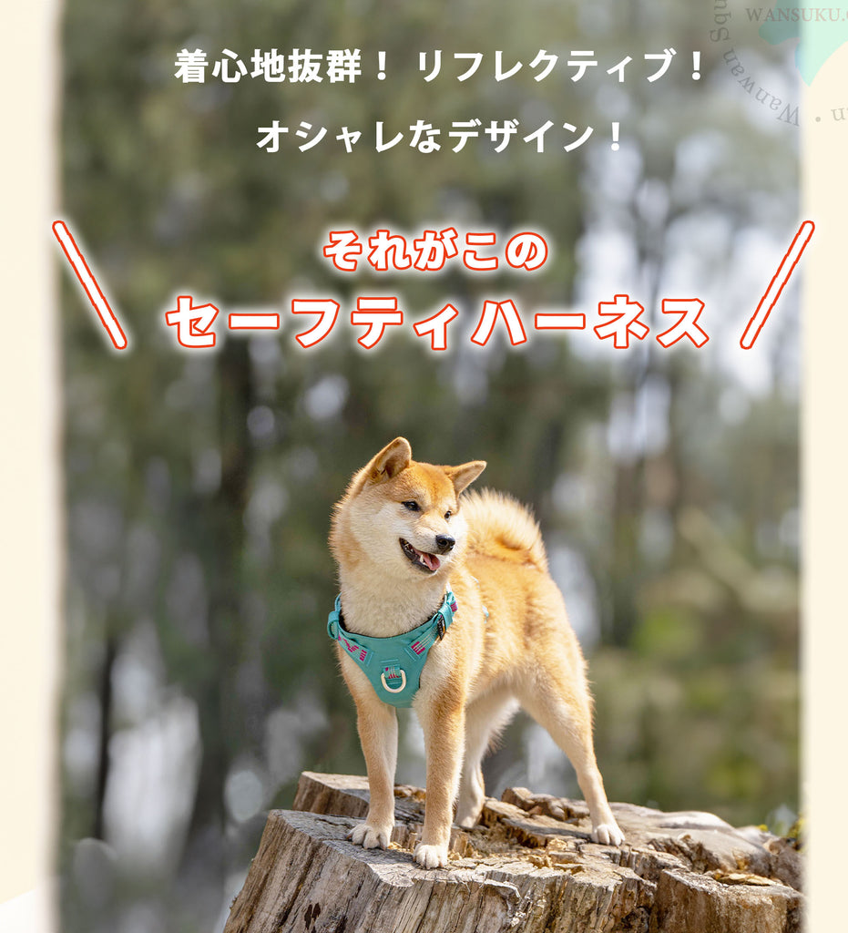 犬ハーネス簡単着脱軽量装着しやすいかっこいいワンタッチコーデュラセーフティハーネス