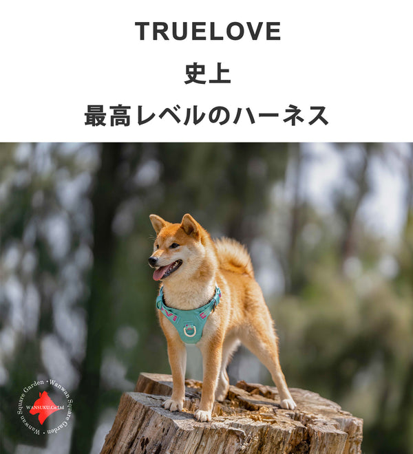 TLH6282 簡単着脱軽量装着しやすいかっこいい ハーネス