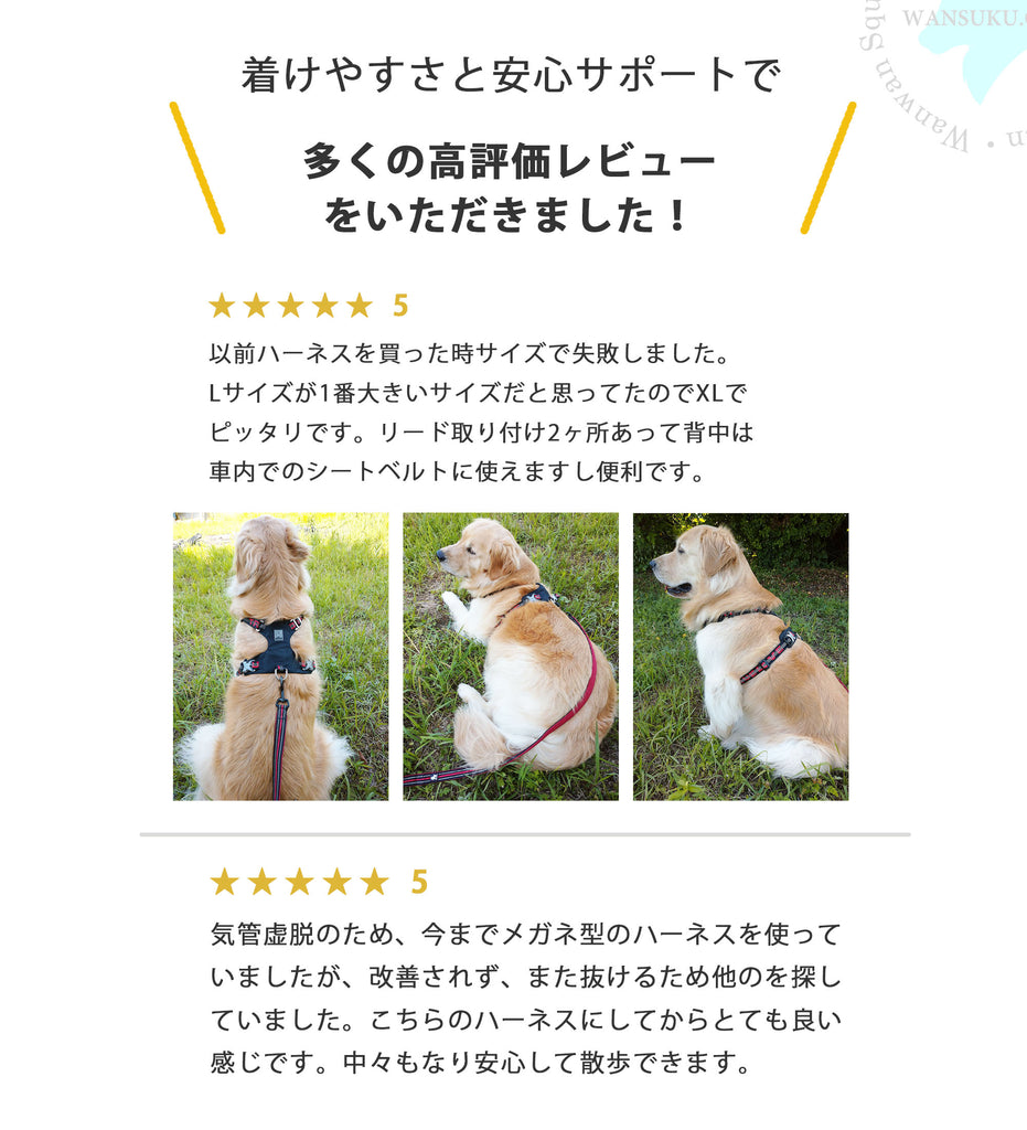 犬ハーネス簡単着脱軽量装着しやすいかっこいいワンタッチコーデュラセーフティハーネス