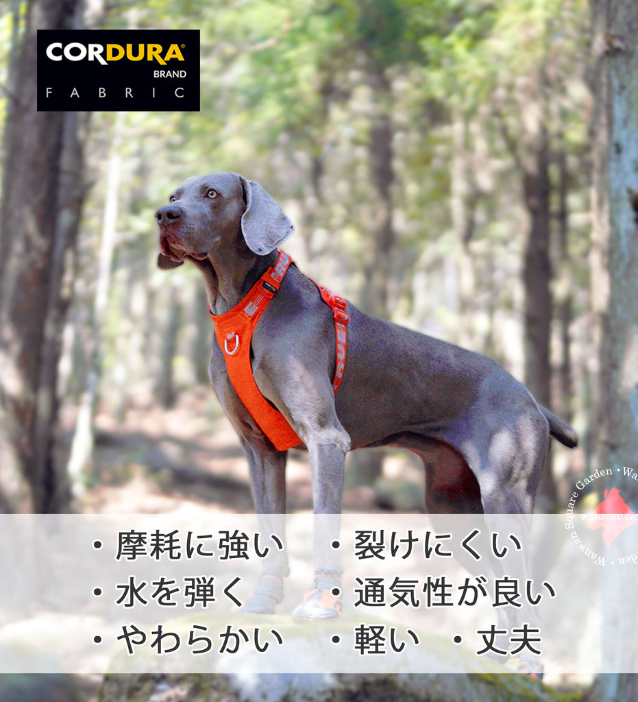 犬ハーネス簡単着脱軽量装着しやすいかっこいいワンタッチコーデュラセーフティハーネス