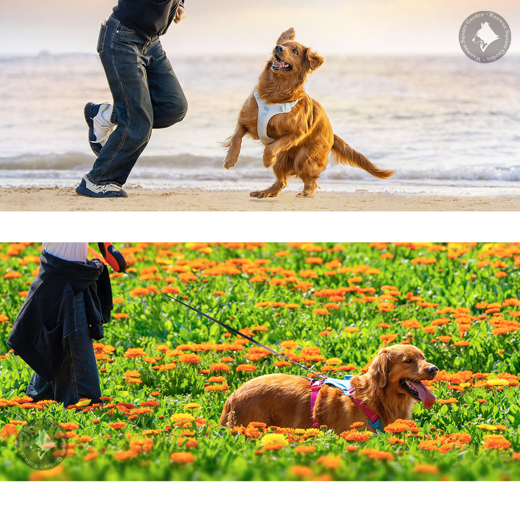 犬ハーネス夜間安全脱着可能Trueloveプレミアム丈夫USB充電LEDライトAirTagトラッキングケースナイトセーフティハーネス