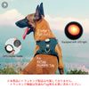 犬ハーネス夜間安全脱着可能Trueloveプレミアム丈夫USB充電LEDライトAirTagトラッキングケースナイトセーフティハーネス