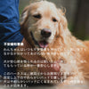 犬ハーネス名入れ中型犬大型犬犬用胴輪Trueloveブランドネオプレンクッションメンタルケア不安緩和ハーネス抜けが起こりにくい形状のハーネス