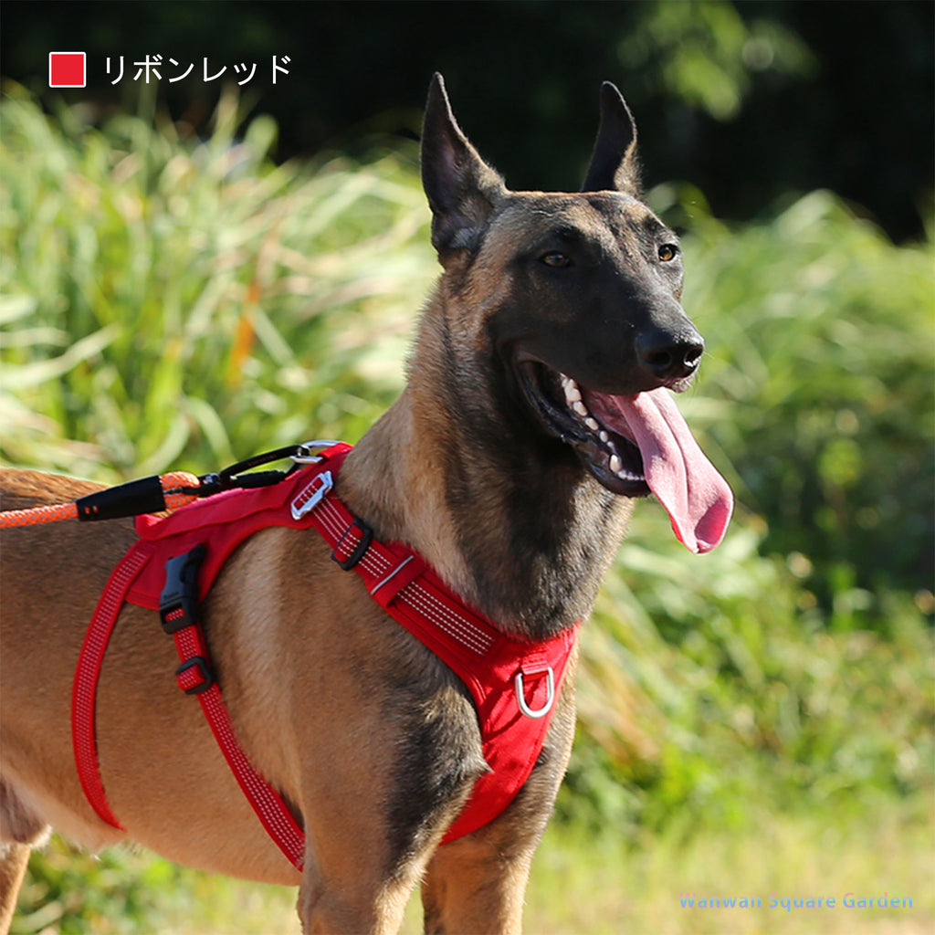 犬ハーネス名入れ中型犬大型犬犬用胴輪Trueloveブランドネオプレンクッションメンタルケア不安緩和ハーネス抜けが起こりにくい形状のハーネス