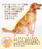 Truelove犬用ヘアリムーバー竹製ステンレス鋼ワンサイズ抜け毛除去中長毛種用お手入れ用品猫用ペット用持ちやすい丈夫長持ちエコ使いやすいステンレスコームグルーミングブラッシング肌を傷つけない抗菌安全コンパクト軽量アンダーリムーバーミニ