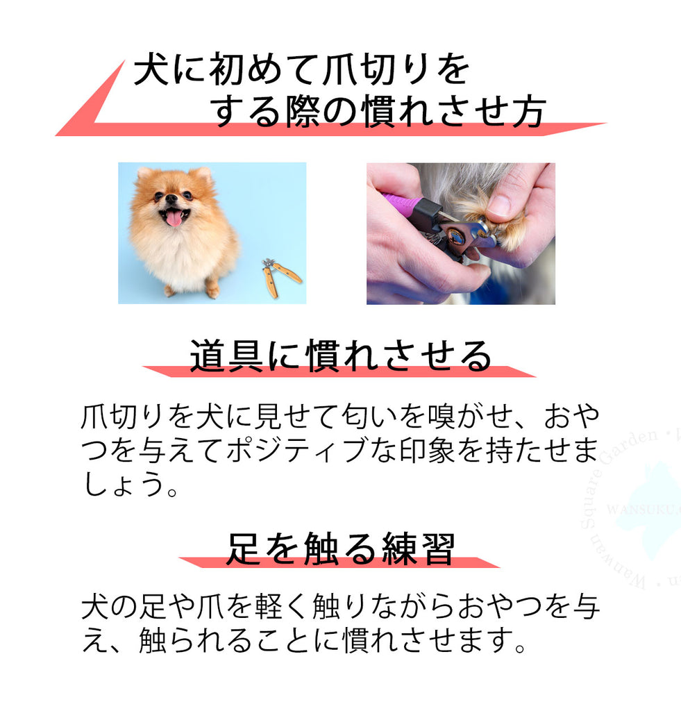 Truelove犬用爪切り竹製ステンレス鋼ワンサイズ深爪防止ストッパー付き安全切れ味抜群握りやすいお手入れ用品猫用ペット用丈夫長持ちエコ使いやすいステンレス半円刃抗菌コンパクト軽量手になじむネイルクリッパー