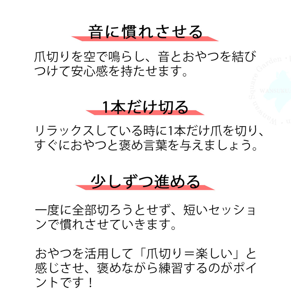 Truelove犬用爪切り竹製ステンレス鋼ワンサイズ深爪防止ストッパー付き安全切れ味抜群握りやすいお手入れ用品猫用ペット用丈夫長持ちエコ使いやすいステンレス半円刃抗菌コンパクト軽量手になじむネイルクリッパー