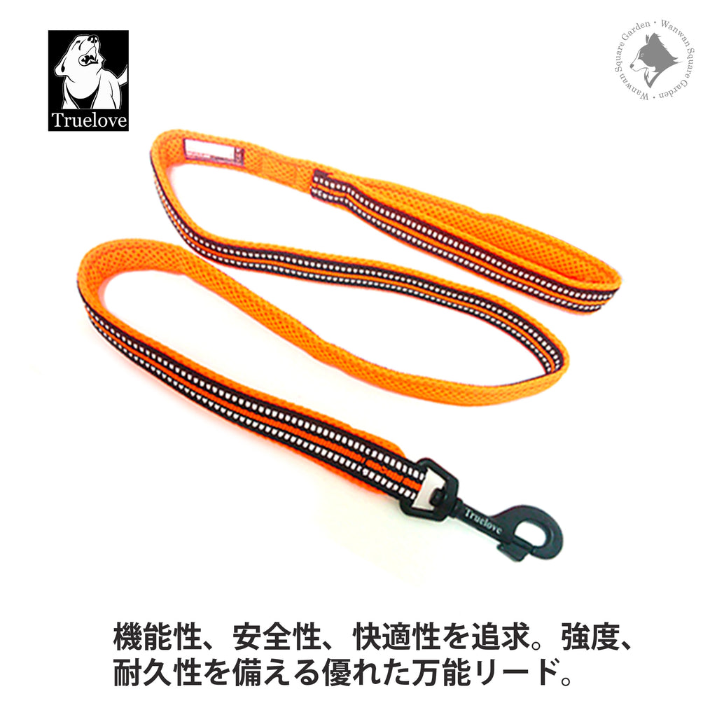 犬 リード 犬用 リード 中型犬 大型犬 持ちやすい ソフトハンドル おしゃれ 超大型犬 小型犬 スタンダードリード メール便送料無料 Truelove  TLL2111
