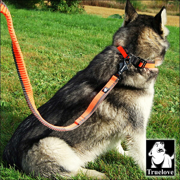 犬リード犬用リード伸縮リードロングリードハンドル付き大型犬中型犬小型犬トレーニング犬のリードのび～るリード