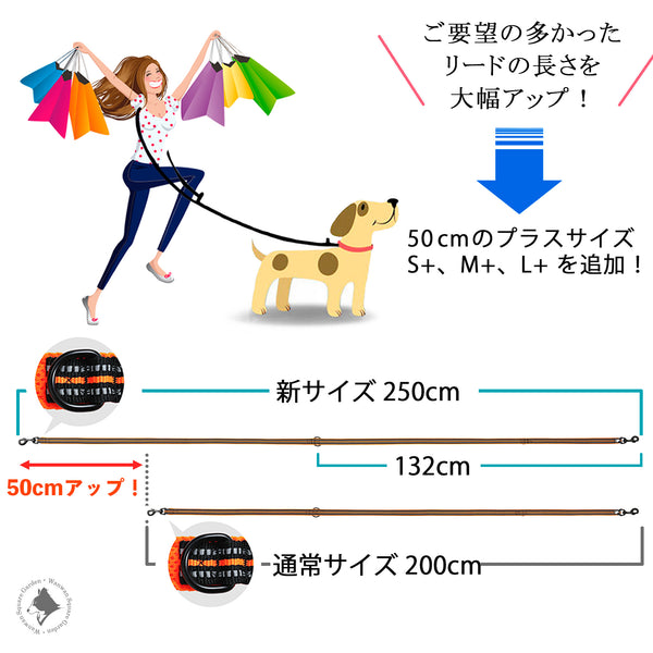 Truelove犬用リード新サイズ250cmと通常200cmの長さ比較図多機能ロングリード