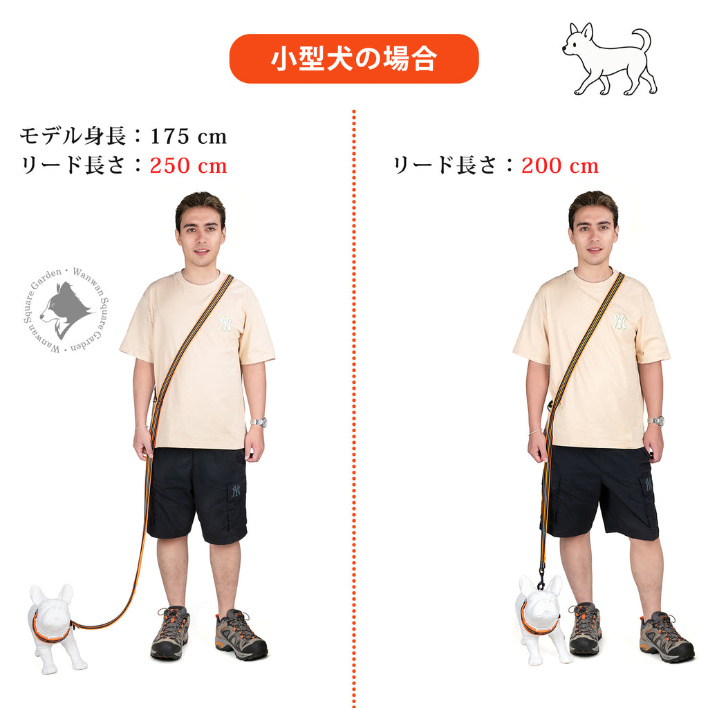 Truelove多機能ユニバーサルリード小型犬向け250cm・200cm比較着用イメージ（男性モデル）