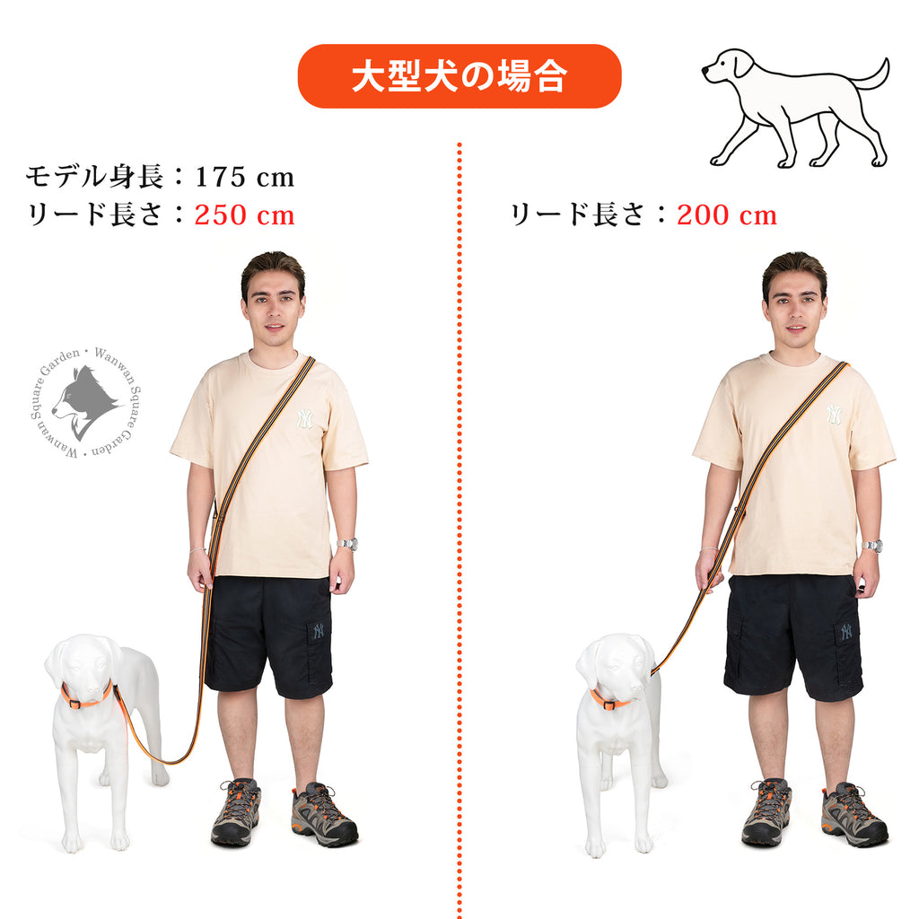 Truelove多機能リード大型犬向け250cm・200cm比較メンズ着用イメージ