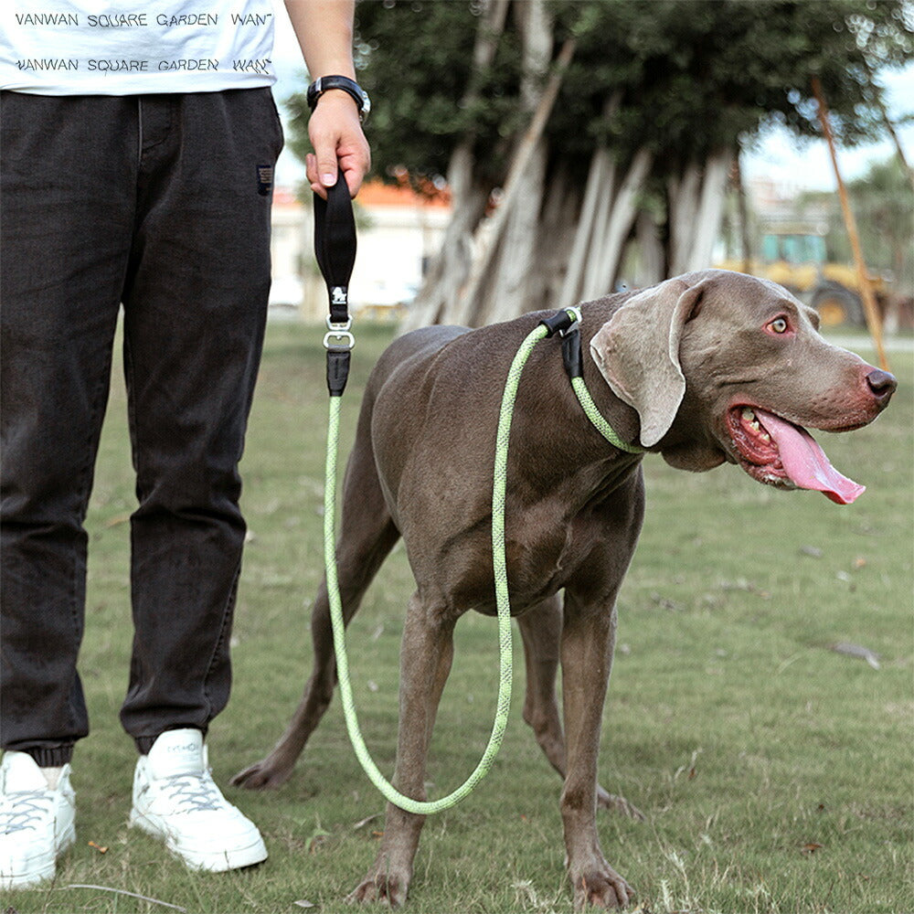 犬リードチョークリードケンネルリードフルチョークショーリード丸ローププロ用CLIMBINGROPE360