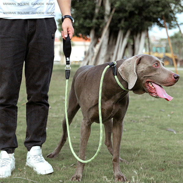 犬リードチョークリードケンネルリードフルチョークショーリード丸ローププロ用CLIMBINGROPE360