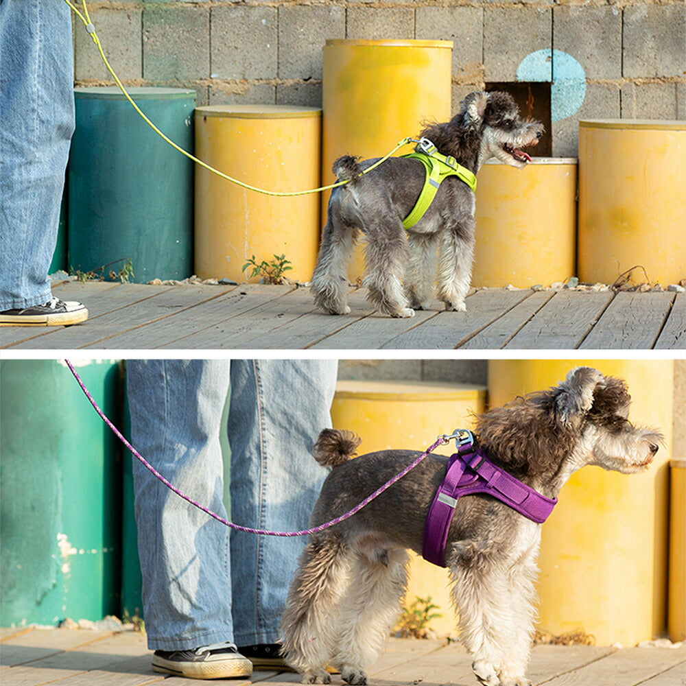 犬リード犬用リード小型犬中型犬軽いハンドル調節付き使いやすいおしゃれFREEDフリードリード