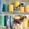 犬リード犬用リード小型犬中型犬軽いハンドル調節付き使いやすいおしゃれFREEDフリードリード