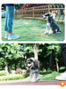 犬リード小型犬大型犬軽量41g丈夫2面反射安全安心Trueloveブランドプレミアムカラビナロック360回転超軽量3Mリフレクティブリード