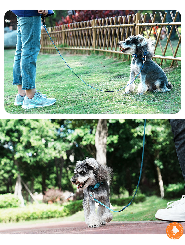犬リード小型犬大型犬軽量41g丈夫2面反射安全安心Trueloveブランドプレミアムカラビナロック360回転超軽量3Mリフレクティブリード