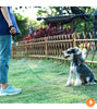 犬リード小型犬大型犬軽量41g丈夫2面反射安全安心Trueloveブランドプレミアムカラビナロック360回転超軽量3Mリフレクティブリード