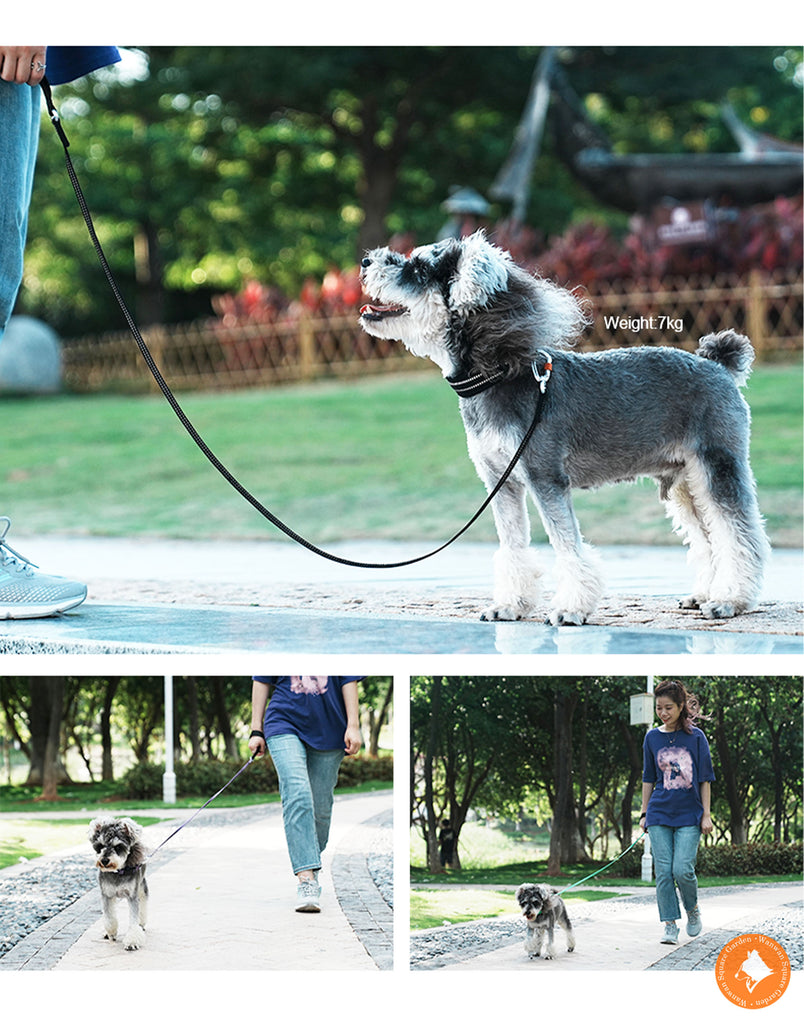 犬リード小型犬大型犬軽量41g丈夫2面反射安全安心Trueloveブランドプレミアムカラビナロック360回転超軽量3Mリフレクティブリード