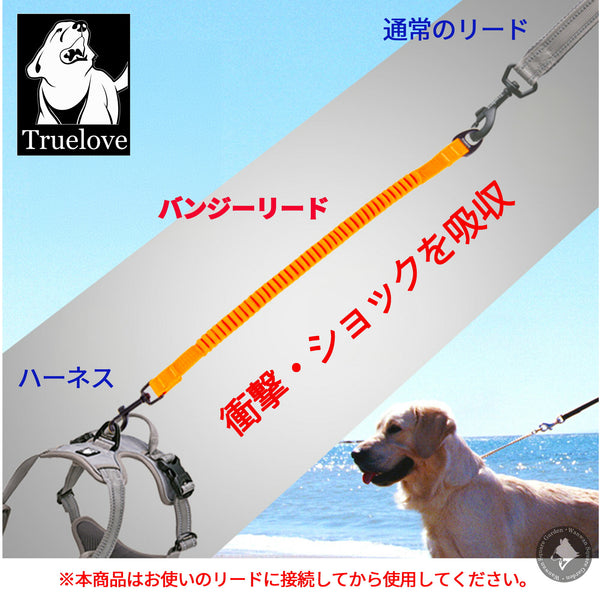犬リード小型犬大型犬伸びる伸縮アタッチメント丈夫引っ張り対策Trueloveブランドゴムおしゃれ伸縮バンジーリード