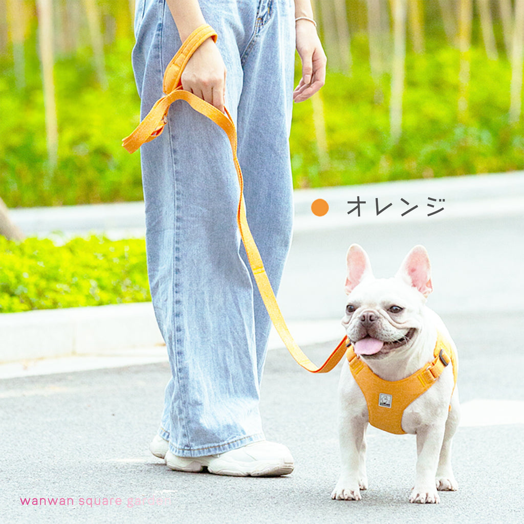 犬リード手が痛くならない丈夫SDGs環境保護Trueloveブランド衝撃吸収6つの持ち手丈夫かわいい人気マルチハンドルエコリード