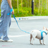 犬リード手が痛くならない丈夫SDGs環境保護Trueloveブランド衝撃吸収6つの持ち手丈夫かわいい人気マルチハンドルエコリード