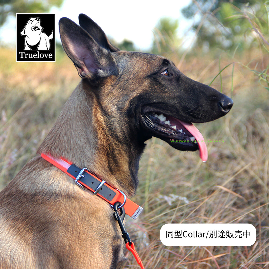 犬リード中型/大型犬用防水衛生的耐久力便利２メートル強化ATBC-PVCリード
