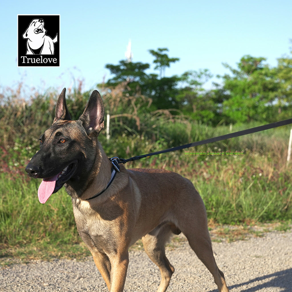 犬リード中型/大型犬用防水衛生的耐久力便利２メートル強化ATBC-PVCリード