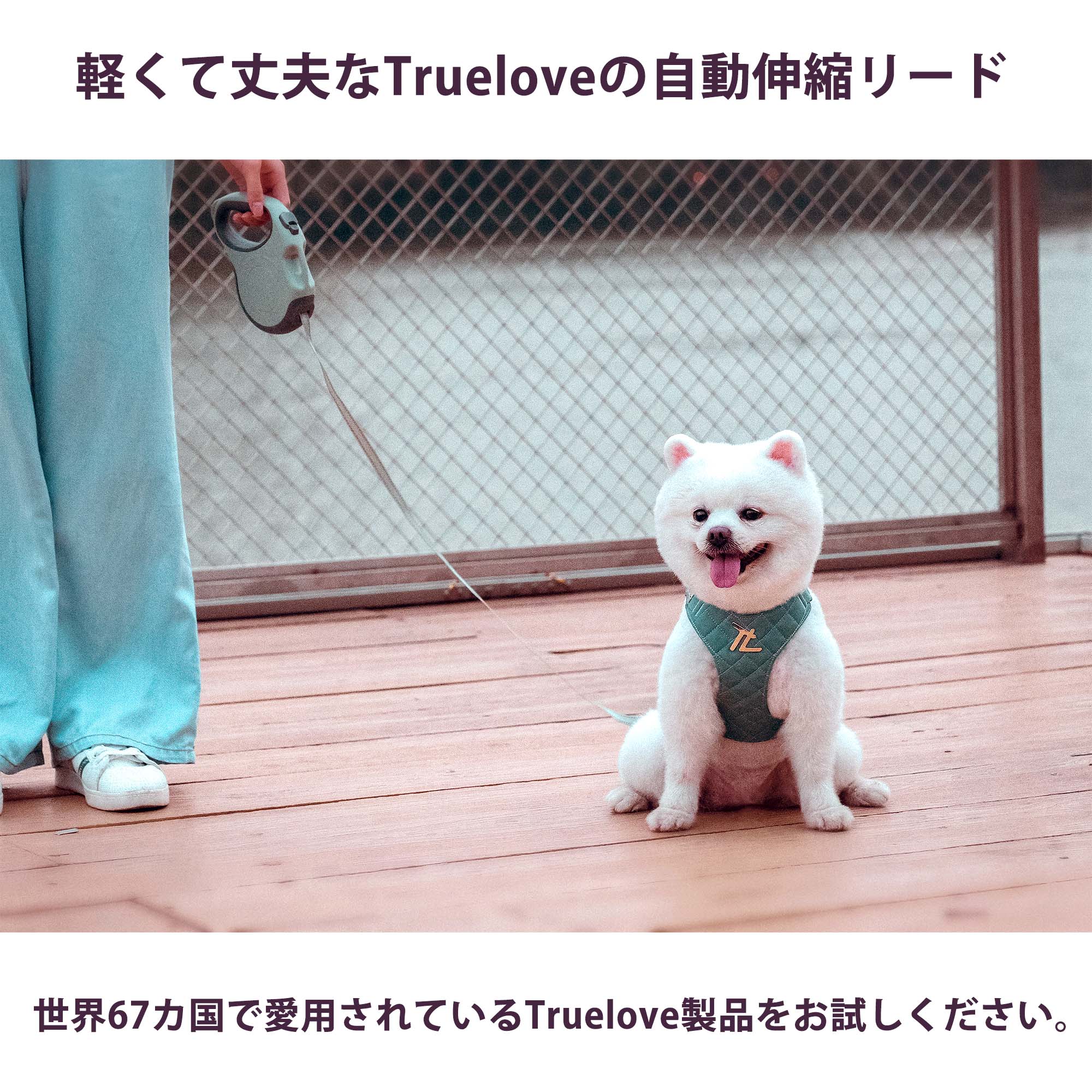 犬リード小型犬中型犬用Trueloveブランド伸縮ロックブレーキショルダー肩かけ軽量滑りにくく握りやすいクイックウォーク伸縮リード