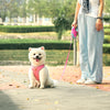 犬リード小型犬中型犬用Trueloveブランド伸縮ロックブレーキショルダー肩かけ軽量滑りにくく握りやすいクイックウォーク伸縮リード